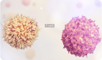 Image of CAR-T cells
